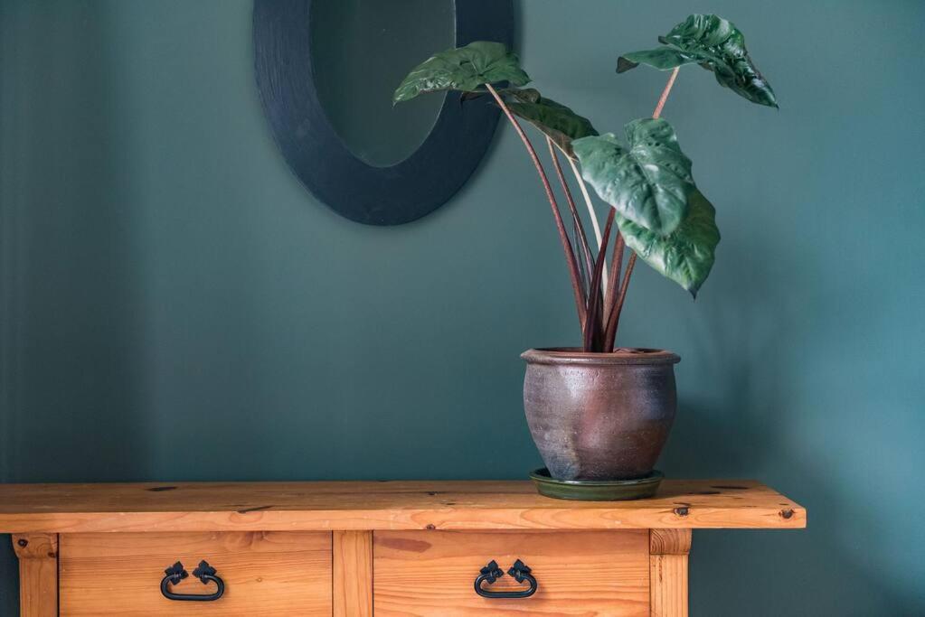 Heritage Cottage - Charming And Stylish Home With Lovely Garden Walmer Eksteriør bilde