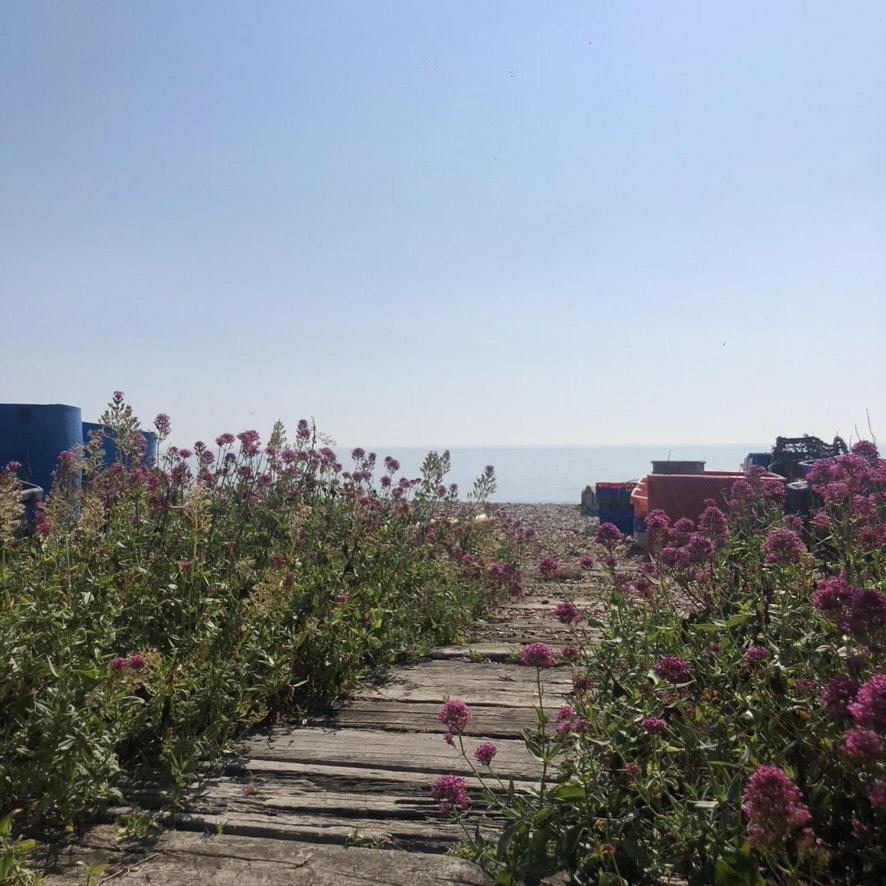 Heritage Cottage - Charming And Stylish Home With Lovely Garden Walmer Eksteriør bilde
